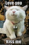 Image result for Love Animal Funny Quotes