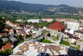 Image result for Doboj Massacre