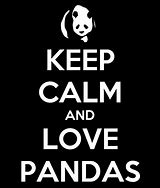 Image result for Keep Calm and Love Pandas