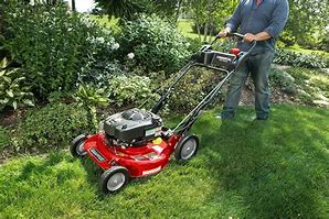 Image result for Snapper Push Lawn Mowers
