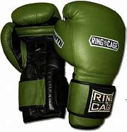 Image result for Purple Sparring Gear