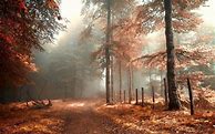 Image result for Autumn Cool Aesthetic Background