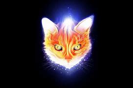 Image result for Fire Cat Eye