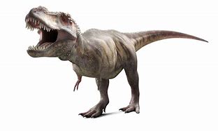 Image result for Popular Dinosaurs