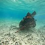 Image result for Images of Marine Recon in Vietnam