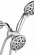 Image result for Dual Shower Head with Handheld