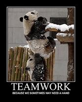 Image result for Teamwork Silly Photos