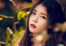 Image result for IU Computer Background