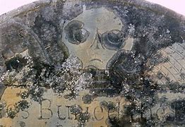 Image result for SS Death Head