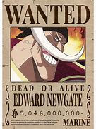 Image result for WhiteBeard Wanted Poster