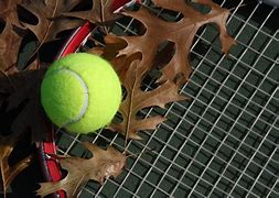 Bildergebnis für kostenlose tennisherbstbilder