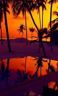 Image result for Kindle Fire Wallpaper Free Sunset Beach