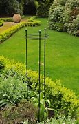 Image result for Plant Supports for Tall Plants