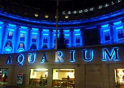 Image result for Sea Life London Aquarium