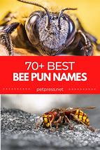 Image result for Bee Pun Names