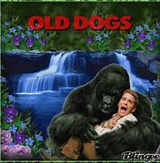 Image result for Robin Williams Old Dogs