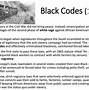 Image result for Black Codes