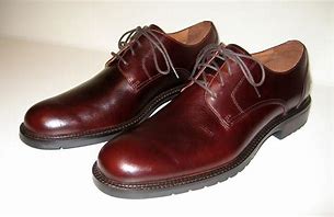 Image result for Veja Men Brown Shoes