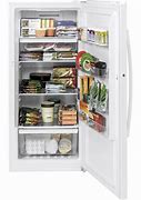 Image result for Home Depot Small Upright Freezers Frost Free
