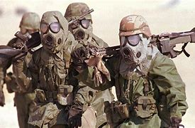 Image result for Gulf War Illness