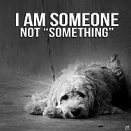 Image result for Sad Animal Quotes