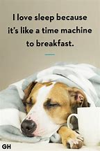 Image result for Happy Sleep Quotes