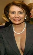 Image result for Pelosi Vector