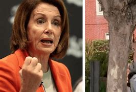 Image result for Pelosi Hair Dryers