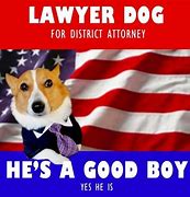Image result for Lawyer Dog Funny