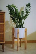 Image result for Modern Plant Stand