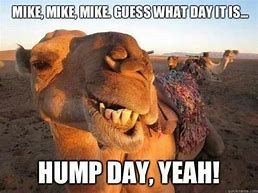 Image result for Happy Hump Day Work Meme