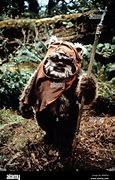 Image result for Star Wars Return of the Jedi Ewoks