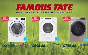 Image result for Famous Tate Washer