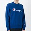 Image result for Pastel Blue Champion Sweatshirt