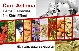 Image result for Herbal Medicine for Asthma