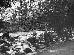 Image result for Einsatzgruppen Babi Yar
