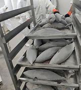 Image result for Fish Processing Cold Storage