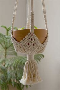 Image result for Plant Hangers