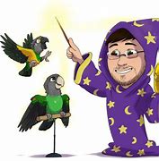 Image result for Frog Wizard Cartoon