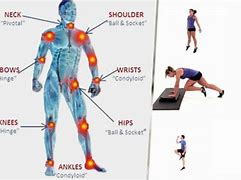Image result for Best Exercises for Joints