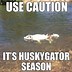 Image result for Siberian Husky Meme