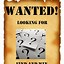 Image result for Fake Wanted Poster Template