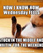 Image result for Funny Happy Wednesday