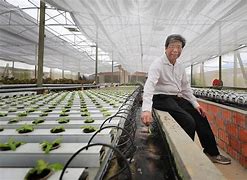 Image result for elevated farming