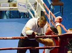 Image result for Boxing Smoker