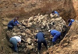 Image result for Mass Graves Execution