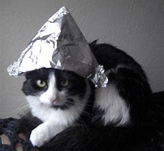 Image result for Cat with Tin Foil On Head