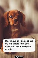 Image result for Quotes Funny Humorous