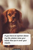 Image result for Witty Sayings Funny Quotes