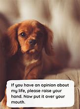 Image result for funny quotations and quotations